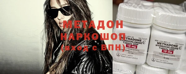 прущие грибы Медвежьегорск