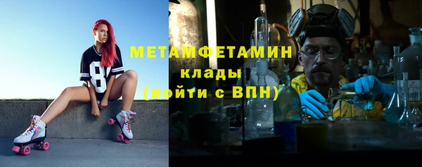 прущие грибы Медвежьегорск