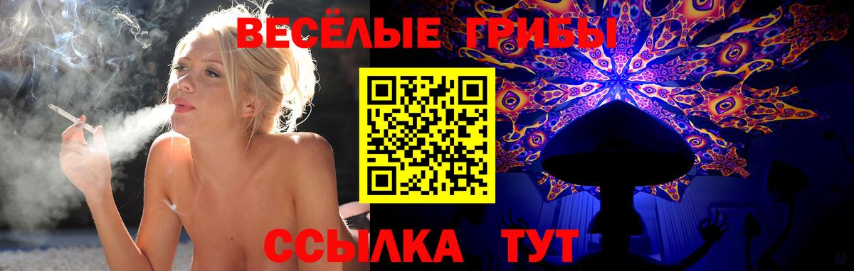 Галлюциногенные грибы Cubensis Нижнекамск