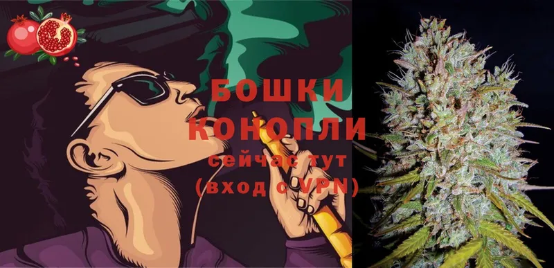 Бошки марихуана THC 21%  дарк нет клад  Нижнекамск 